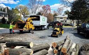 Mulching Services in Greenbelt, MD